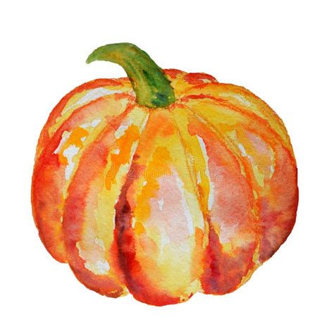 Calabaza de la acuarela stock de ilustración Ilustración de acuarela