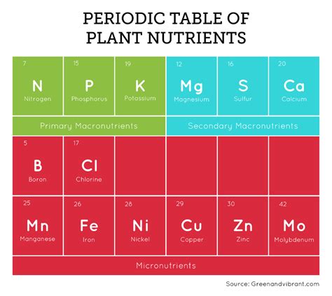 Hydroponic Nutrient Solution - The Essential Guide - Trees.com | Plant ...