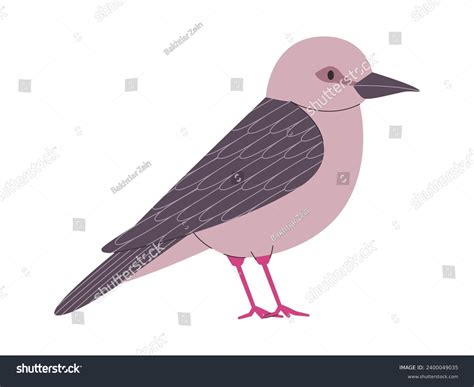 Gray Color Small Bird Grenada Dove Stock Vector (Royalty Free ...