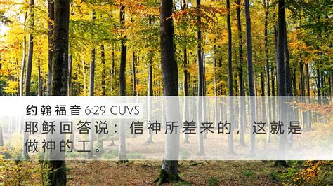 约 翰 福 音 6 29 CUVS Desktop Wallpaper 耶 稣 回 答 说 信 神 所 差 来 的