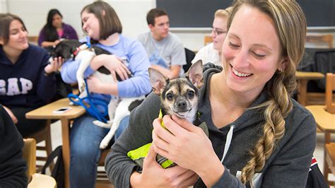 Best Pre Vet Programs In Wisconsin CollegeLearners