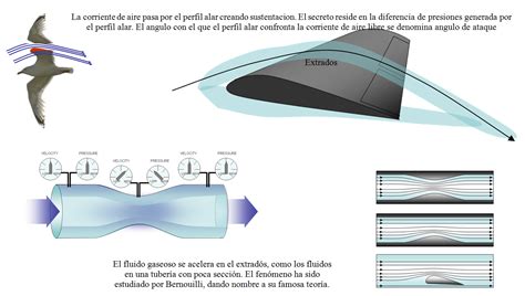 Aerodinámica básica para pilotos I