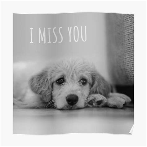 "I Miss You, Dog Meme" Poster for Sale by SevillaAnimals | Redbubble