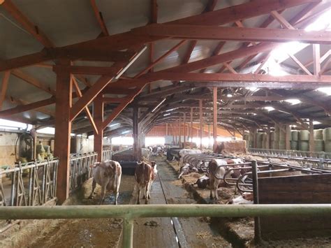 Visite du GAEC du Bois Joli à Saint Diéry Puy de Dôme CFPPA d