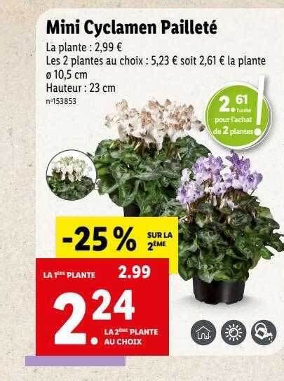 Promo Mini Cyclamen Paillet Chez Lidl