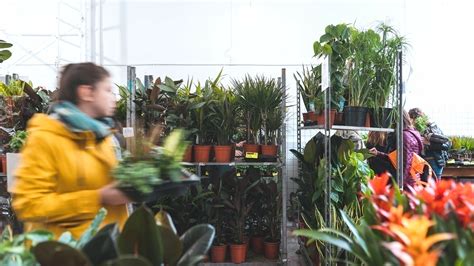 Une Grande Vente De Plantes D Barque Strasbourg Ce Week End Le