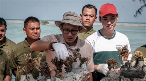 Menparekraf Lakukan Transplantasi Terumbu Karang Di Desa Wisata Pulau