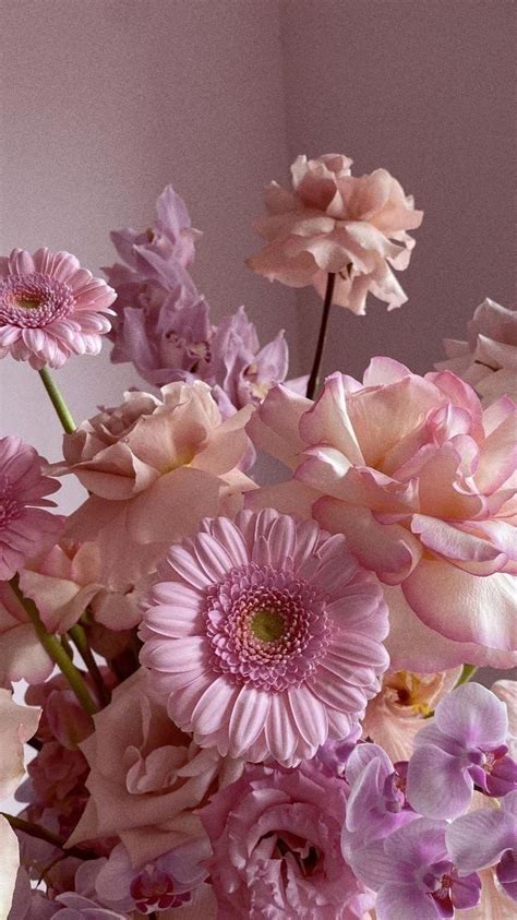 Pink Aesthetic | Blumen hintergrund iphone, Blumen hintergrund, Blumen hintergründe