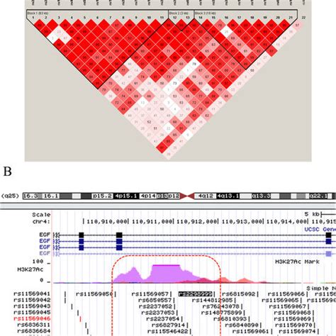 Linkage Disequilibrium Ld Analysis Of Single Nucleotide Polymorphisms