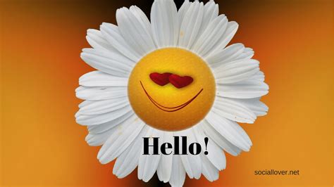 Hi Hello Images Hd Wallpapers Free Download For Whatsapp Facebook