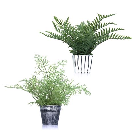 Buy 2 Artificial S Fern Leaves Grass In Potted Sets Lifelike Maidenhair