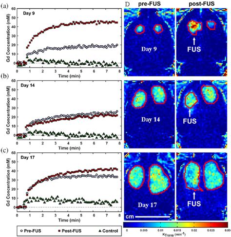 Example Results From Dce Mri At Different Stages Of Tumor Growth Before