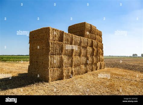 Large Straw Bales Stacked Hi Res Stock Photography And Images Alamy