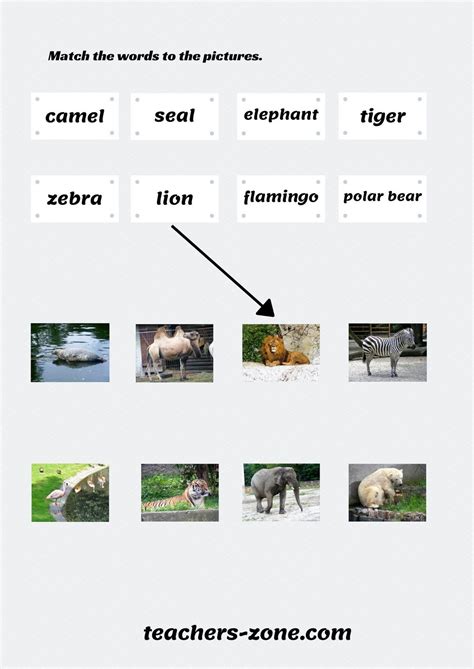 FREE ZOO ANIMALS WORKSHEETS - Teachers Zone - Worksheets Library