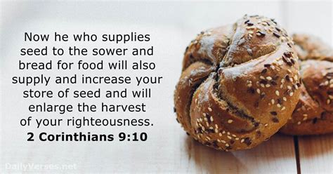 13 Bible Verses About The Harvest Ncb And Niv