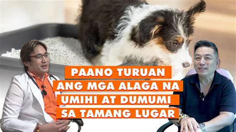 EPISODE 04 POTTY TRAINING PARAAN PARA TURUAN ANG ASO O PUSA NA