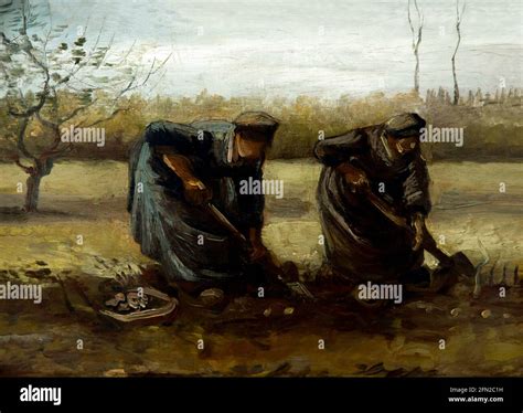 Peasant Women Digging Up Potatoes Hi Res Stock Photography And Images