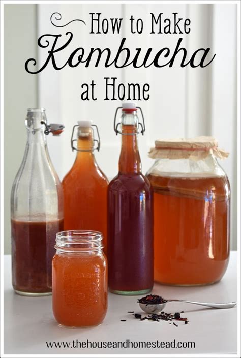 How To Make Kombucha At Home The House Homestead Kombucha How To