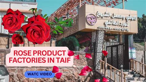 Rose Perfume Factory Taif Al Hada Saudi Arabia Beautiful City Of