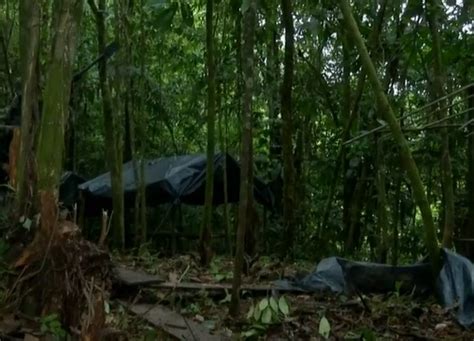 Enfrentamientos Entre Disidencias De Las Farc Dejan Muertos En