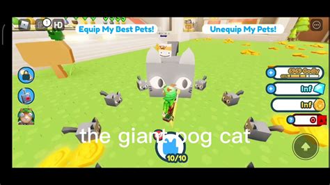 Pet Simulator X Cursed Game 8 Finally Got The Giant Pog Cat YouTube