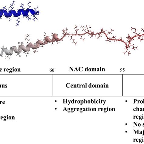 Characteristics of the three regions in α synuclein α syn