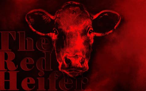 Laws, Legends, and the Lasting Enigma of the Red Heifer | Ross K Nichols