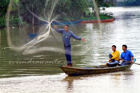 Menjala Ikan Di Situ Lengkong Panjalu Eviindrawantocom