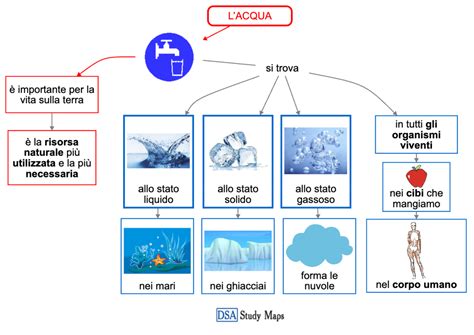 L Acqua Mappa Concettuale