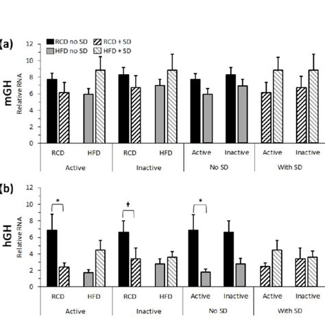 The Effect Of Acute Sleep Deprivation SD On A Mouse M And B