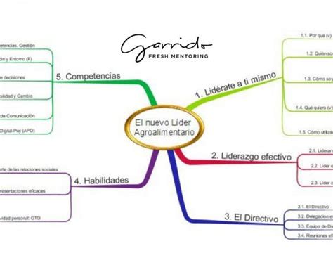 Los 5 Pasos Definitivos Para Solucionar Problemas Garrido Fresh Mentoring