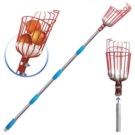 Top 10 Best Fruit Pickers In 2023 Fruit Picker Tool