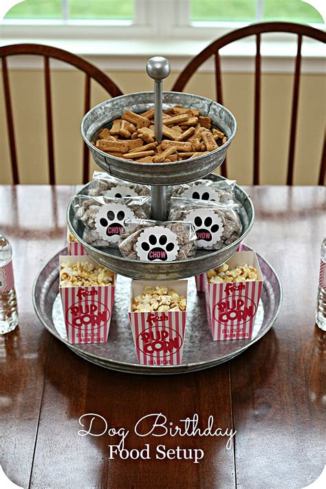 Keeping My Cents ¢¢¢ Dog Birthday Party Ideas