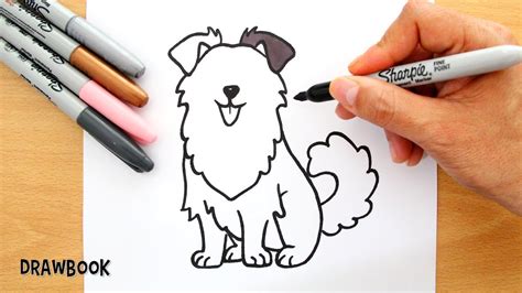 How to Draw AUSTRALIAN SHEPHERD DOG (Sheepdog) - Drawbook