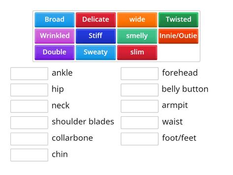 Matching Collocations Body Organs Match Up