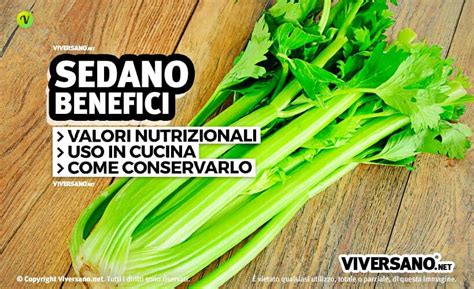 Sedano Propriet Nutrizionali Calorie Benefici E Controindicazioni