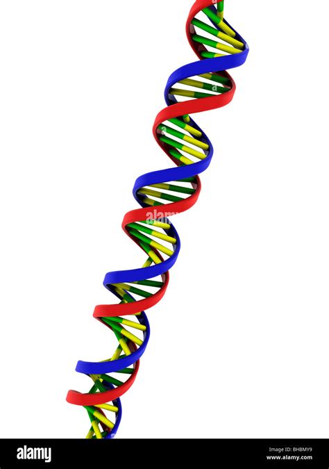 Anti Dna Dupla Helice Ou Nativo Braincp