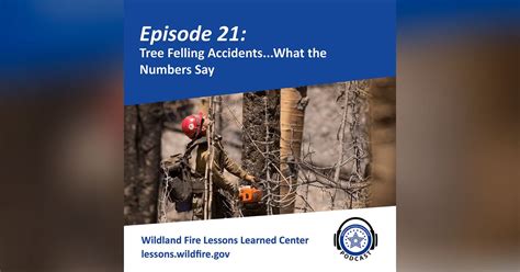 Episode 21 Tree Felling Accidentswhat The Numbers Say Wildland Fire Lessons Learned Center