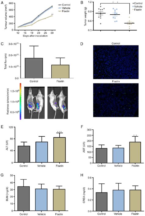 Figure Fisetin Inhibits Tumor Growth And Induces The Apoptosis Of Download Scientific Diagram