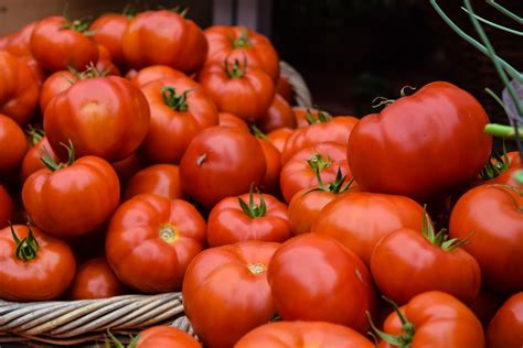 La mejor forma de conservar los tomates en casa y cuándo es preferible