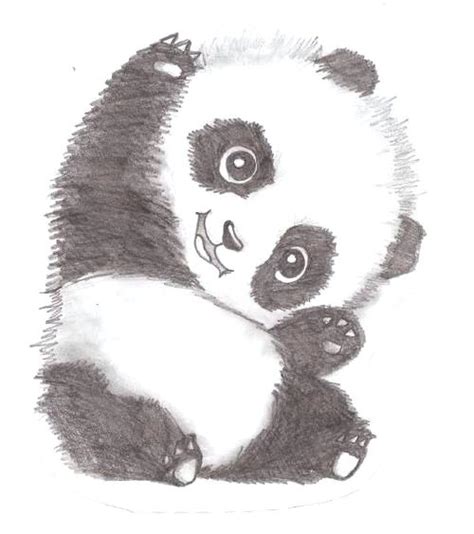 Easy Panda Sketch At Paintingvalley Explore Collection Of Easy