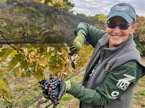 How To Write A Book Writing A Lesbian Romance Novel