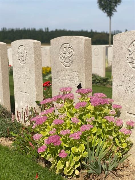 Les cimetières militaires du Commonwealth Collines et Plaines d