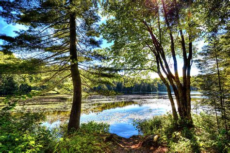 The Hidden Gem of Cary Lake Photograph by David Patterson - Pixels