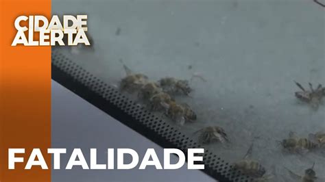 Ataque De Enxame De Abelhas Mata Idoso E Deixa Outras Duas Pessoas Em