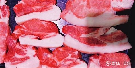 猪肉11个部位分布图讲解 前腿肉里脊肉梅花肉 我们再去买猪肉时就挑这3个部位猪前腿肉里脊肉或梅花肉价格便宜还好吃连肉贩子都会