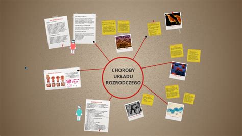 Choroby układu rozrodczego by Natalia Natalia on Prezi