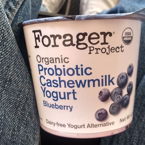 Forager Project Organic Probiotic Cashewmilk Yogurt Blueberry Reviews