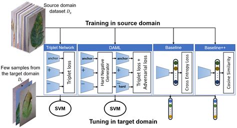 Plant Disease Detection Using Cnn Atelier Yuwaciaojp