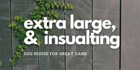 The Best Extra Large Great Dane Dog Houses - Great Dane K9